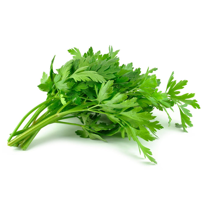 Parsley, Italian