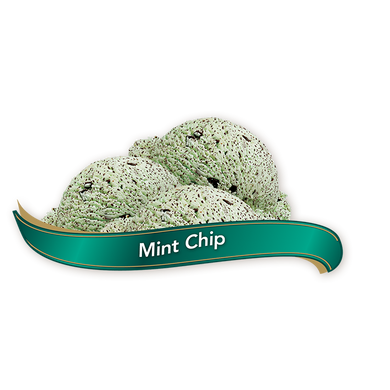 ICE CREAM CHOC MINT PACK OF 1X11.4 LITER