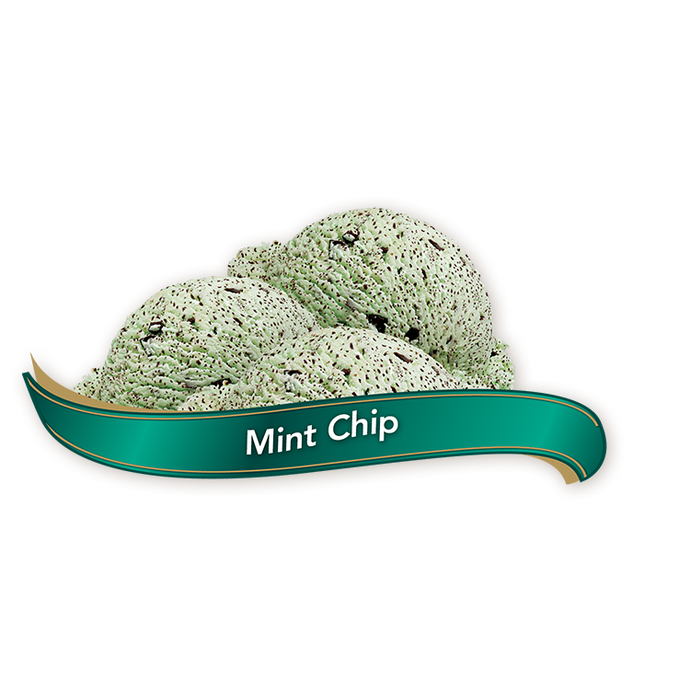 ICE CREAM CHOC MINT PACK OF 1X11.4 LITER