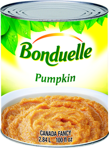 PUMPKIN SOLID PACK OF 6