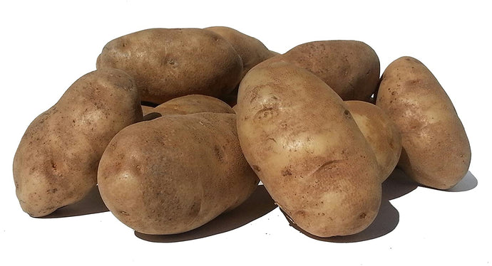 POTATO FRESH BURBANK BG PACK OF 1X50LB