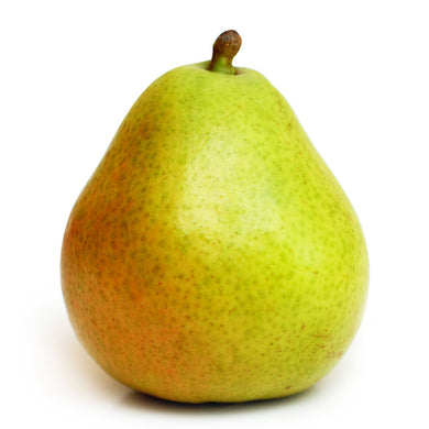 Pear, Anjou