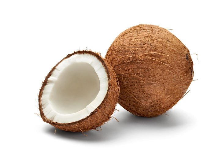 Coconut, Brown Pack of 1