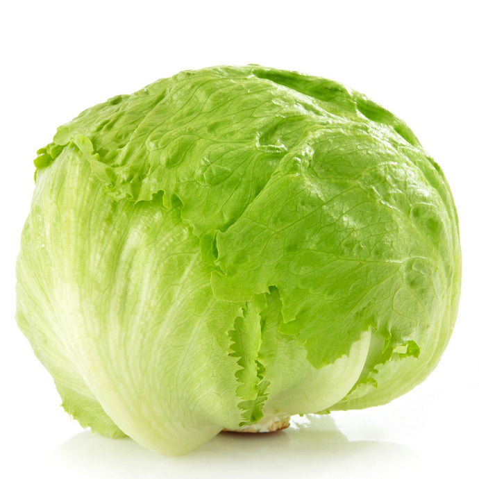 LETTUCE ICEBERG PREMIUM PLTIZD PACK OF 1X24CT