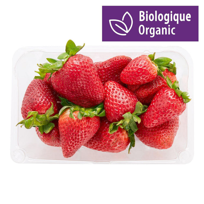 Strawberries, Organic