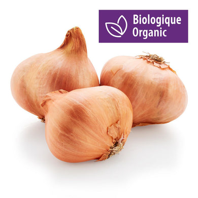 Onions, Shallot Organic