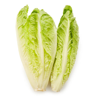 Lettuce, Romaine