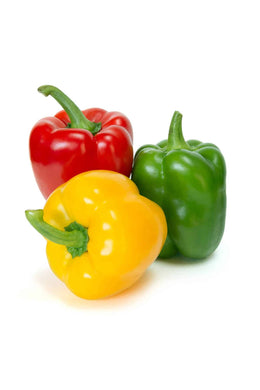 PEPPER BELL ORG HOT HSE PACK OF 1X11LB