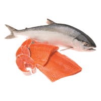 WESTCST SALMON SOCKEYE SMK PACK OF 50X85 GRAMS