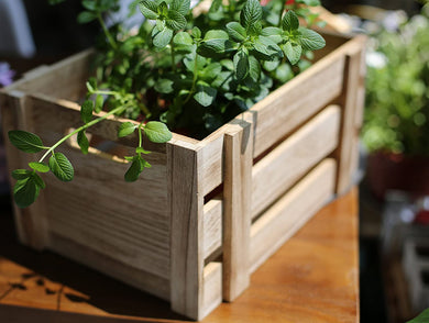 VEGETABLE ASST BOX PACK OF 1X10LB