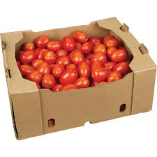 TOMATO ROMA PACK OF 1X25LB