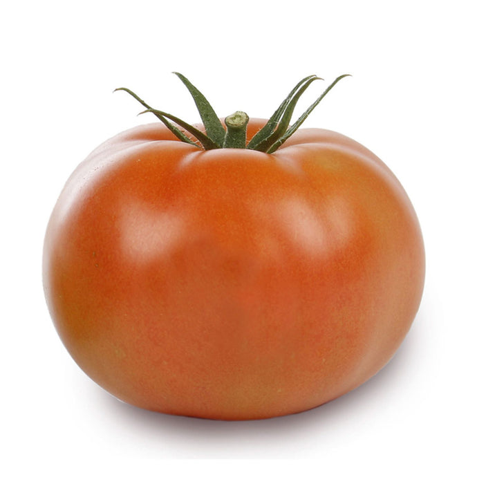 TOMATO FRESH SAL PACK OF 1X15LB