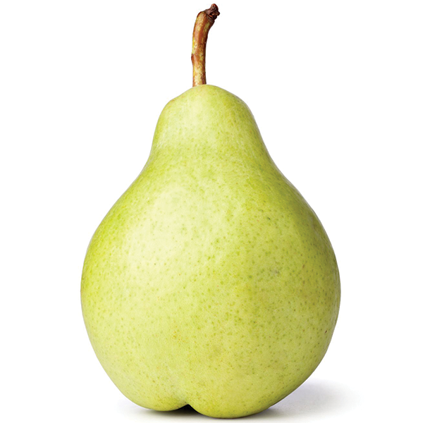 PEAR ANJOU PACK OF 1X100CT 40LB