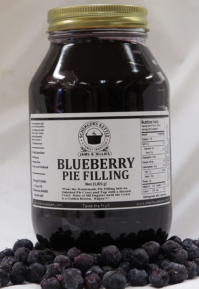 FILLING BLUEBERRY PIE PL PACK OF 1X5KG