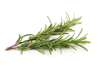 ROSEMARY FRESH PACK OF 1BUNCH