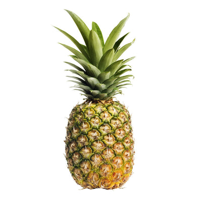 PINEAPPLE GOLDEN RIPE FRSH PACK OF 1X6CT