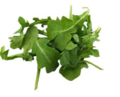 BAUGH ARUGULA BABY FRESH 1.8KG (LEAD TIME 20 DAYS FOR DELIVERY)