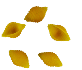 PASTA MONTANA PASTA SHELL SMALL PACK OF 2 X 4.5KG