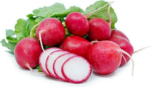 Radish 1 lb