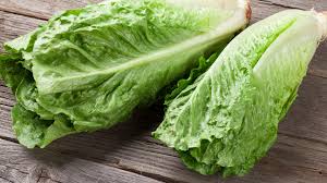 Romaine Regular, each