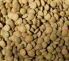 SYSCO CLASSIC BEAN LENTIL GREEN (PACK OF 1 X 10 KG) - DeliverMyCart.com