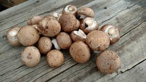 Cremini mushroom 8 oz