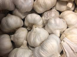 Garlic, Spain each