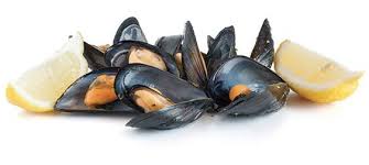 PACKER MUSSEL FRESH PEI PACK OF 1(25 LB)