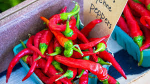 SPICE PEPPER CAYENNE CDN PACK OF 12 - DeliverMyCart.com