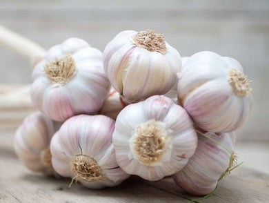 Garlic pack OF 3, each