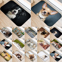 1pcs 40*60cm Cute Pug Husky Dog Pattern Anti-Slip Suede Carpet Door Mat Doormat Outdoor Kitchen Living Room Floor Mat Rug 48302 - DeliverMyCart.com