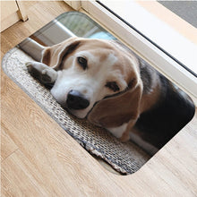 1pcs 40*60cm Cute Pug Husky Dog Pattern Anti-Slip Suede Carpet Door Mat Doormat Outdoor Kitchen Living Room Floor Mat Rug 48302 - DeliverMyCart.com