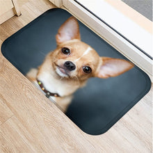 1pcs 40*60cm Cute Pug Husky Dog Pattern Anti-Slip Suede Carpet Door Mat Doormat Outdoor Kitchen Living Room Floor Mat Rug 48302 - DeliverMyCart.com