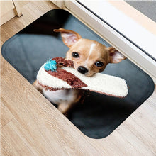 1pcs 40*60cm Cute Pug Husky Dog Pattern Anti-Slip Suede Carpet Door Mat Doormat Outdoor Kitchen Living Room Floor Mat Rug 48302 - DeliverMyCart.com