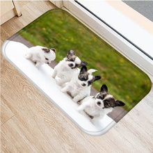 1pcs 40*60cm Cute Pug Husky Dog Pattern Anti-Slip Suede Carpet Door Mat Doormat Outdoor Kitchen Living Room Floor Mat Rug 48302 - DeliverMyCart.com