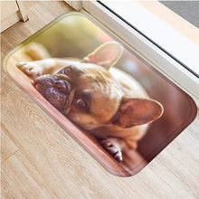 1pcs 40*60cm Cute Pug Husky Dog Pattern Anti-Slip Suede Carpet Door Mat Doormat Outdoor Kitchen Living Room Floor Mat Rug 48302 - DeliverMyCart.com