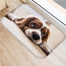 1pcs 40*60cm Cute Pug Husky Dog Pattern Anti-Slip Suede Carpet Door Mat Doormat Outdoor Kitchen Living Room Floor Mat Rug 48302 - DeliverMyCart.com