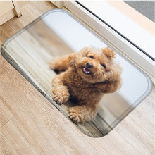 1pcs 40*60cm Cute Pug Husky Dog Pattern Anti-Slip Suede Carpet Door Mat Doormat Outdoor Kitchen Living Room Floor Mat Rug 48302 - DeliverMyCart.com