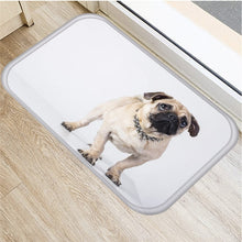 1pcs 40*60cm Cute Pug Husky Dog Pattern Anti-Slip Suede Carpet Door Mat Doormat Outdoor Kitchen Living Room Floor Mat Rug 48302 - DeliverMyCart.com