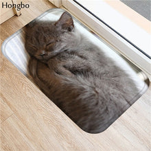 Hongbo Kawaii Welcome Floor Mats Animal Cat Printed Bathroom Kitchen Carpets Doormats Cat Floor Mat for Living Room Anti-Slip - DeliverMyCart.com