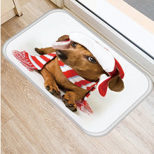 1pcs 40*60cm Cute Pug Husky Dog Pattern Anti-Slip Suede Carpet Door Mat Doormat Outdoor Kitchen Living Room Floor Mat Rug 48302 - DeliverMyCart.com